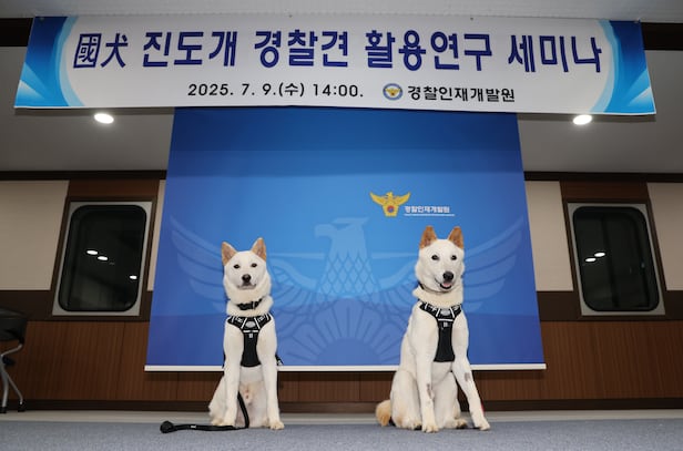 9일 오후 충남 아산 경찰인재개발원에서 진돗개 경찰견 활용연구 세미나를 개최했다. 상만(왼쪽)과 임회(오른쪽)의 모습./박성원 기자