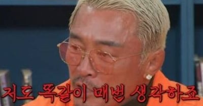 조선일보 추성훈 관련 기사 대표 이미지