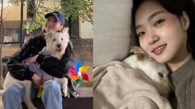 유기견 입양 김고은 "거기선 아프지 말아라" 애도