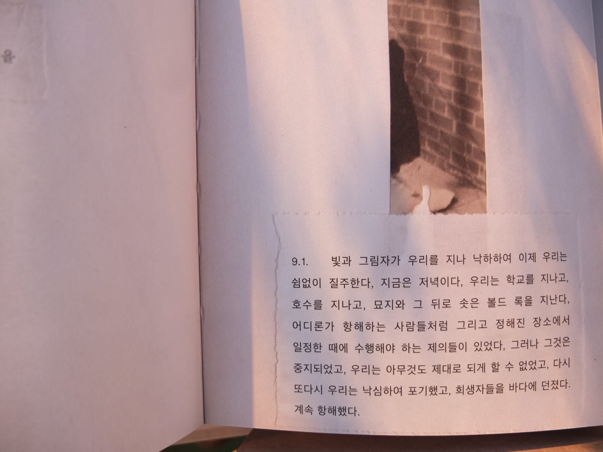 간밤에 스웨덴 한림원이 노벨문학상을 호명한 영상을 보고 2022년 동짓날, 서점 고요서사에서 역자 윤경희 선생님이 전문을 낭독하셨던 기억을 떠올리며 다시 녹스를 꺼내 읽었다. 잠들었던 고전과 다양한 활자와 죽음에 대한 사색들이 날개를 펴고 날아오른다. 밤이 물러나고 떠오른 태양 아래 찍어본 사진들. 세상에는 죽어도 죽지 않고 사라져도 사라지지 않는 것들이 있다. /정수윤 제공