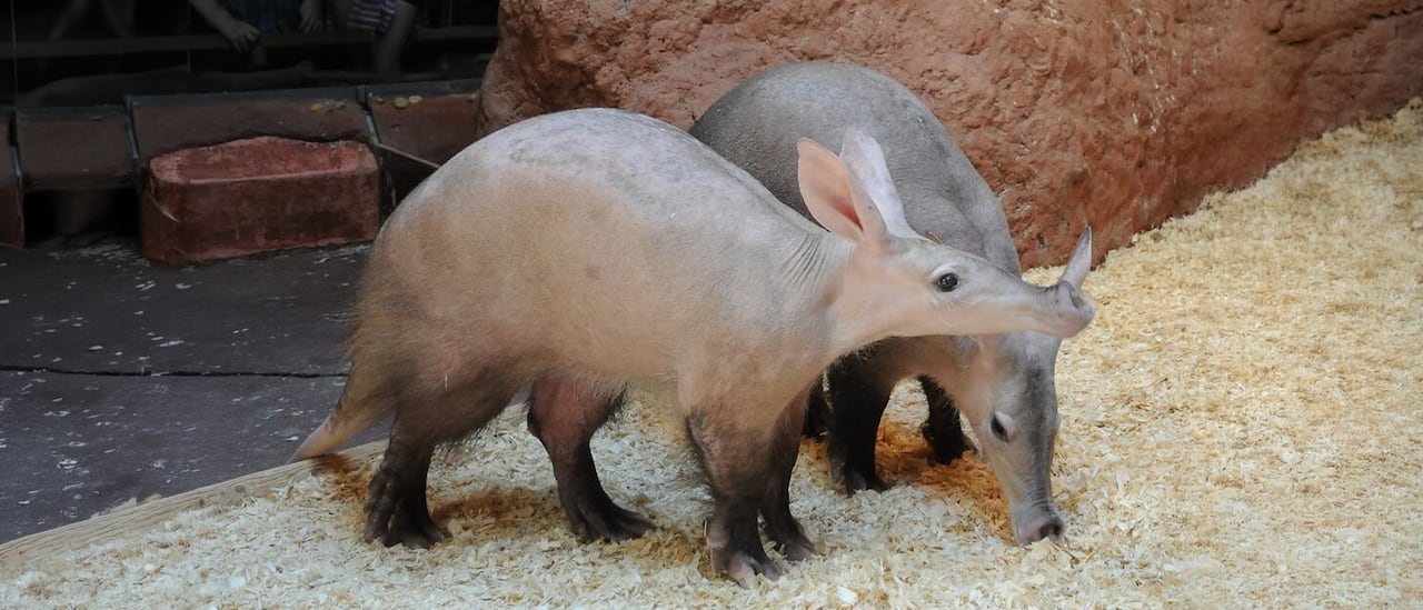 /Zoo Praha