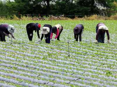 시골서 농사 짓는 사람이 '승자'<br> 연금만 月 200만원 받는 사람들