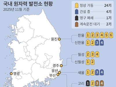 "호남 전력 확보하라"<BR> 원전 꺼내든 정부, 시작부터 난항
