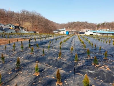 "고령에 땅 빌려준 게 죄인가"<bR> 농지 전수조사에 뿔난 농심